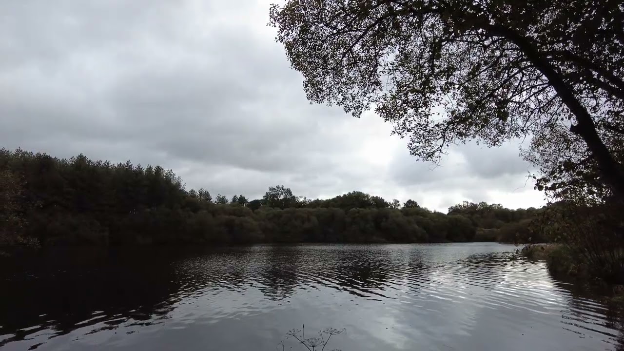 A Walk Along The River Blavet, 22480 Peumerit Quintin, Brittany, France 26th October 2025