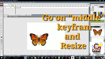 Butterfly animation in flash by a gautam | sg vox hindi