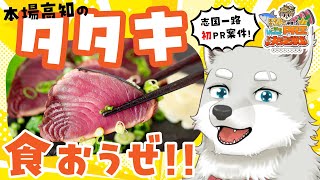 【2025.7.18】初案件！本場高知のタタキを食おうぜ！【 #ごとVPR王 】
