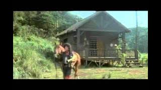 Hell hath no fury like Brigitte Lin with a rocket launcher