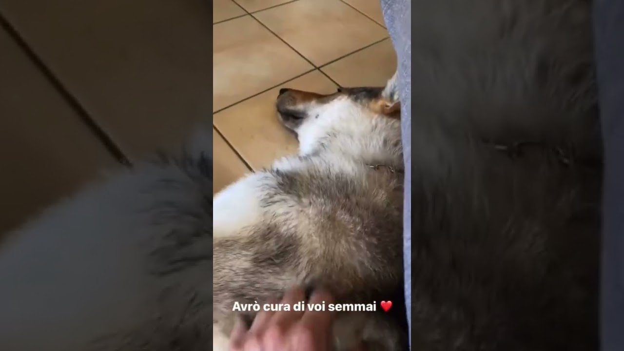 Gli dovevo dire una cosa ❤️❤️