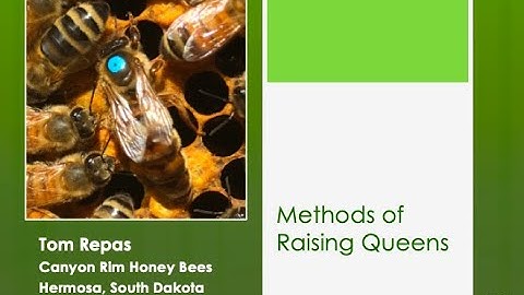 3  Methods of Raising Queens