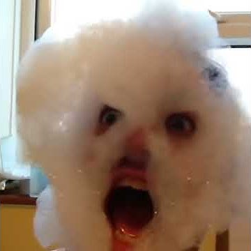 Happy cloud - Lol