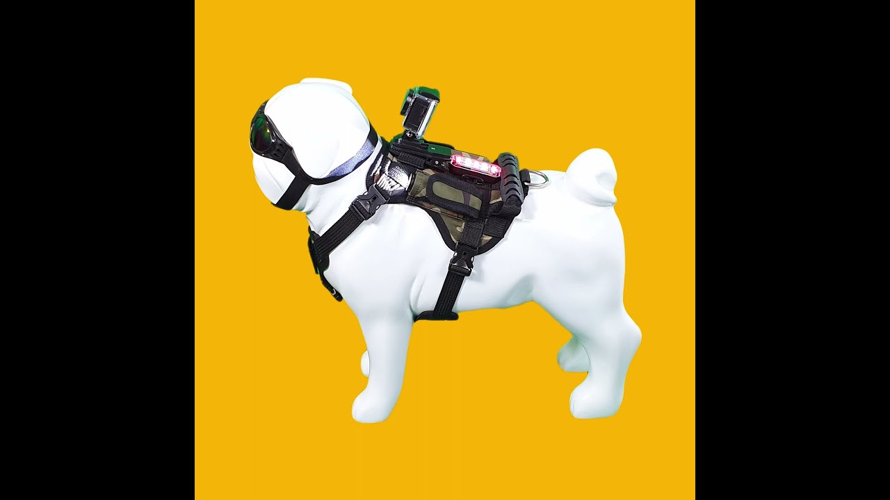 Smart dog vest - Medium size 💂 Military  camouflage -With:2 Led Flashlight, walkie talkie, 4k Camera