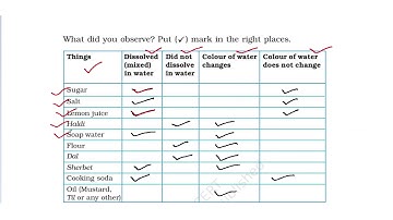 CBSE/NCERT/Class 4th/EVS/Chapter 13/A River
