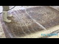 Experts oriental rug cleaning in palm beach