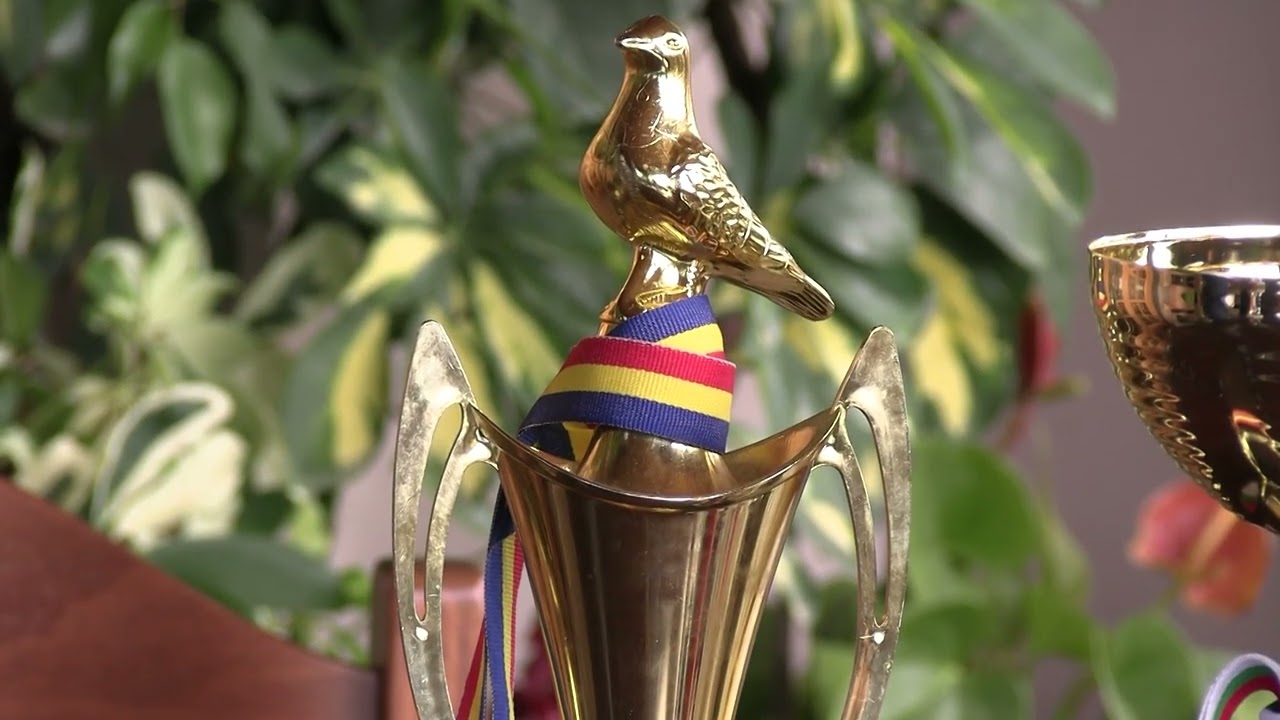 НА ВЕЗНИ 12.02.25  - АТАНАС ПОПОВ (Гълъбовъд)