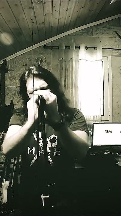 Bon Jovi - It's My Life (Metal Cover)