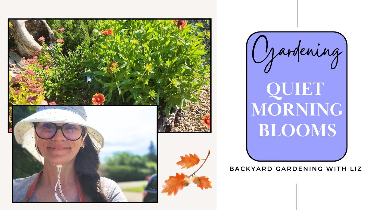 September Morning Garden Tour Calm Light Fresh Blooms (Gardening Journey EP 34)