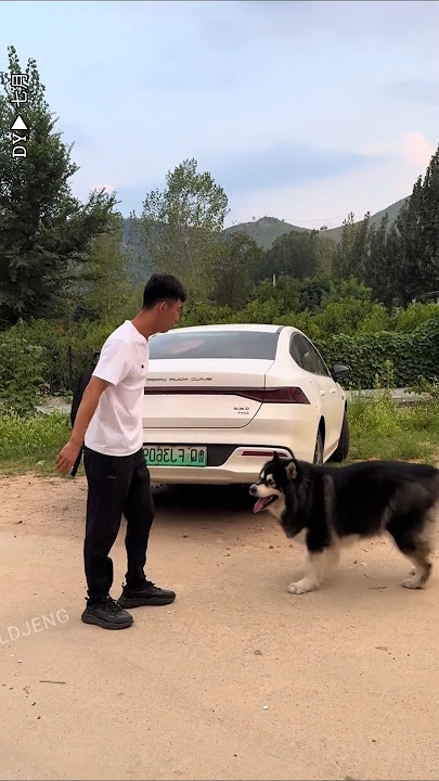 Anjingku Nggak Pernah Setuju Aku Pergi Sendiri!