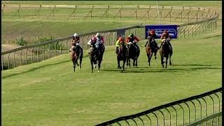 20190804 Scottsville express clip Race 5 won by NOBLE JOSHUA