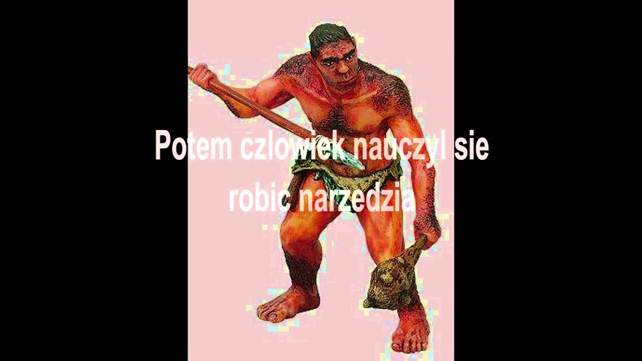 Sprawdzian Z Ewolucji Puls życia 3 Odpowiedzi Ewolucja człowieka - Prezentacja na historie - YouTube