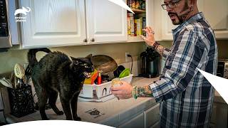 This Aggressive Cat Ambushed Its Owner | My Cat From Hell S8 E1 | Animal Planet India