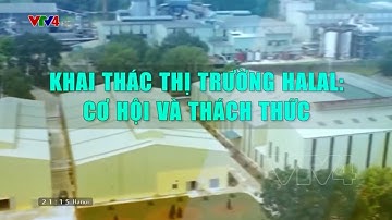 Tiềm năng thị trường thực phẩm Halal | VTV4