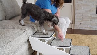 How to Train your Dog to use the CozyUp™ Steps & Ramp Combo