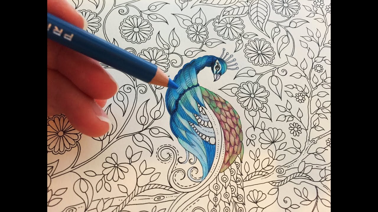 Peacock Part 13 Secret Garden Adult Coloring Book