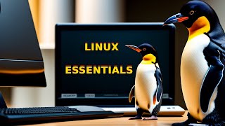 NDG Linux Essentials English 1222 cga | Chapter 02 Exam answers