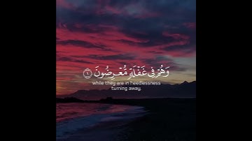 قرآن الكريم بصوت أحمد النفيس اجمل حالات واتس اب دينية سورة الأنبياء فيديو قصيره 🤍🌿