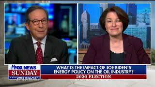 Fox News’ Chris Wallace To Dem Sen On Biden Energy Plan “Going To Hurt A Lot Of People”