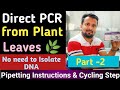 PCR Directly from Plant Leaves-Pipetting Instructions &amp; Cycle steps.