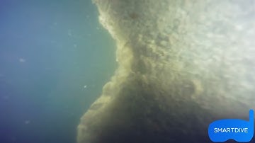 🌊 One underwater, the other in the sky ☁️