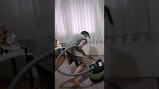 Bergen & Yillar Yili & Komi̇k Mi̇zah Resimi