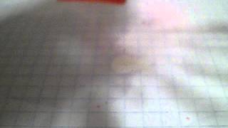 100_0709.AVI