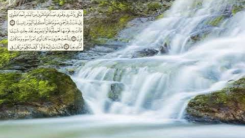 307-page سعد الغامدي - -سورة مريم Marie (Maryam)-19