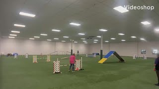Dare Master STD