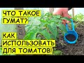 Как правильно применять ГУМАТ КАЛИЯ для ТОМАТОВ. Подкормка томатов в открытом грунте, теплице