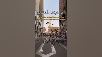 إن الله وملائكته يصلون على النبي - تلاوة القارئ محمد الغزالي