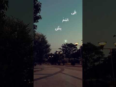 ضل ساتر مش لاقي حد غيرك حتى في البعاد اغازل
