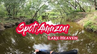 Amazon Spot Lake Haven