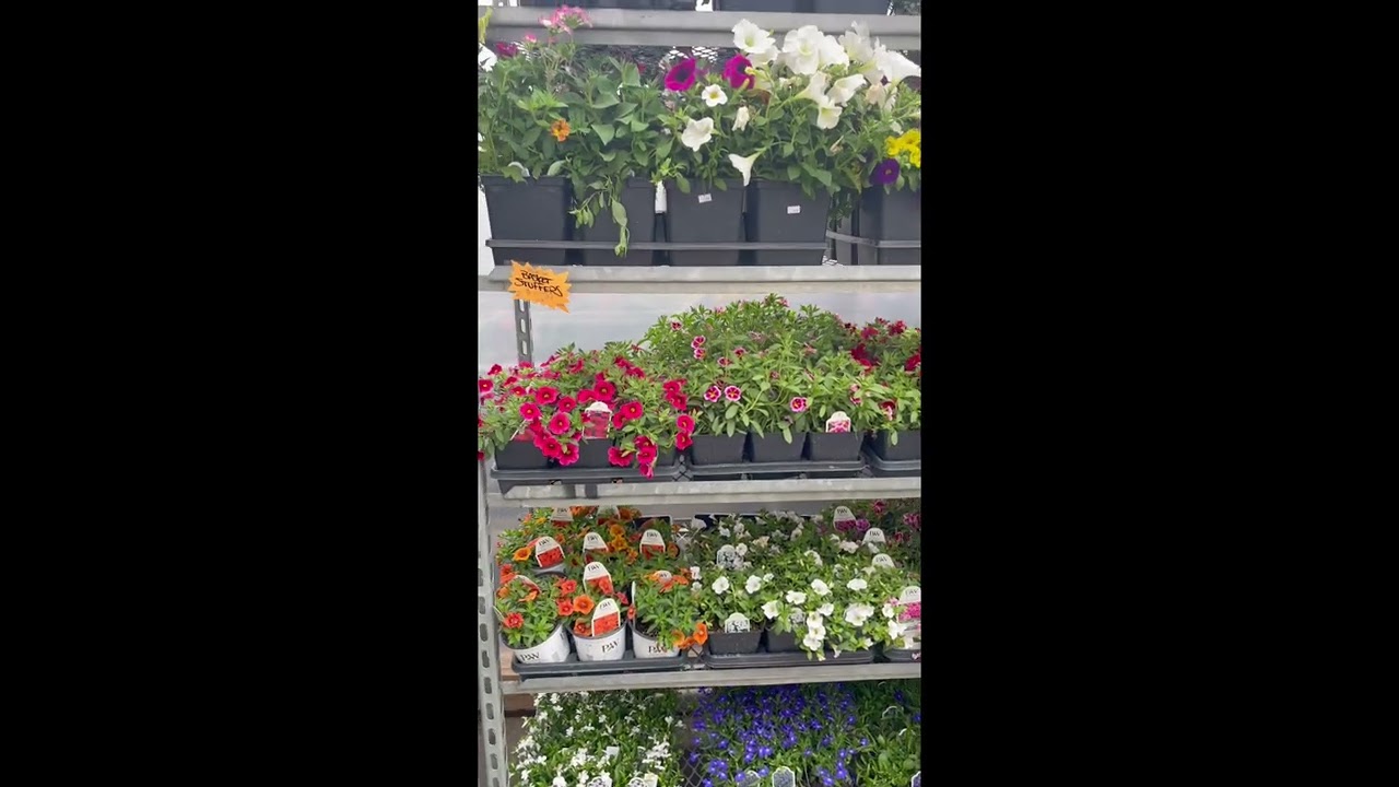 LakeShore Garden Market in University Park, Regina