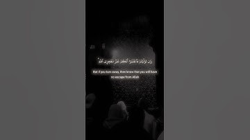 #خالد_الجليل #سورة_التوبة #قرآن #رمضان #تلاوة_خاشعة #quran