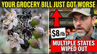 YOUR GROCERY BILL JUST GOT WORSE 😱 2026 East Coast Fruit Apocalypse