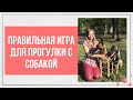 Супер-игра для веселой прогулки и Дрессировка вашей собаки