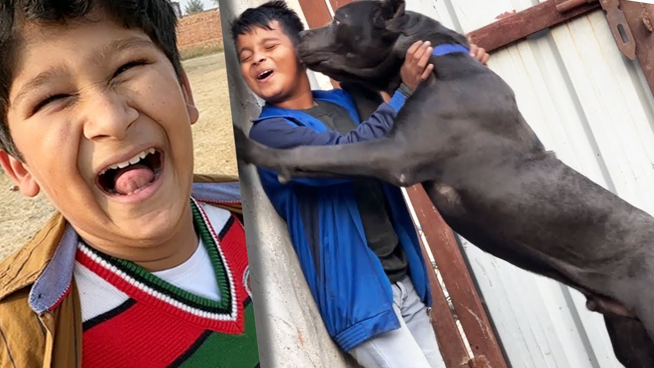 Panther ne kaat liya isko bhi😨