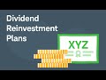 Understanding Compounding Returns and DRIPs