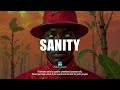 Afrobeat Type Beat 2025 - "SANITY" | Emotional Afrobeat Instrumental