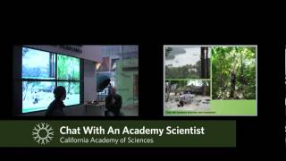 Jack Dumbacher: Chat with an Academy Scientist | California Academy of Sciences