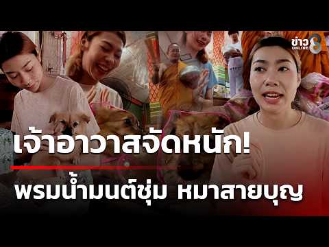 "Bing Bing" the devout dog gets soaked by holy water | Sep 21, 2026 | Morning News Talk Channel 8