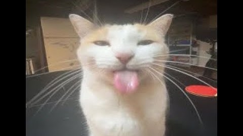 HACKING ON HYPIXEL WITH OPAL CLIENT (INTENSE)