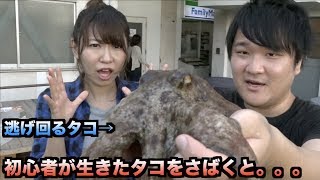 事故多発！？初心者に生きたタコをさばかせた結果。。。