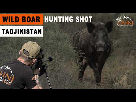 Face à un monstre : chasse extrême au sanglier géant - Wild boar hunting Central Asia