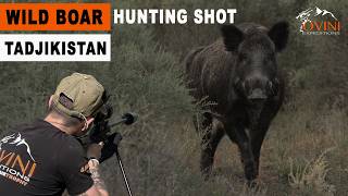Chasse du sanglier au Tadjikistan avec Ovini - Wild boar hunting Central Asia