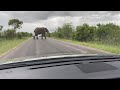 Elephant attack- Kruger National Park ( Phalaps)