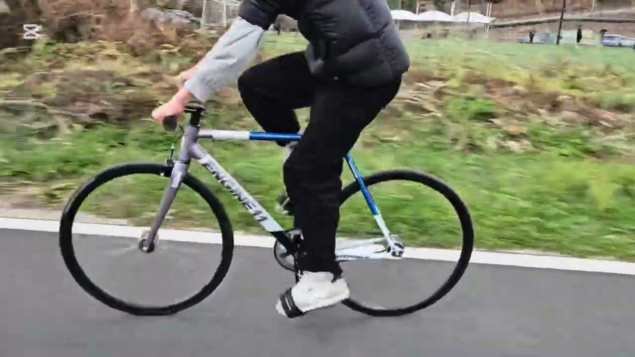 如鳥數飛 #픽시 