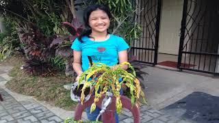 Special Episode: How to do Grafting, Marcotting & Budding (EPP Project)