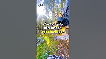 Cỗ máy khiến việc khai thác gỗ trở nên nhanh chóng và gọn gàng đến khó tin!